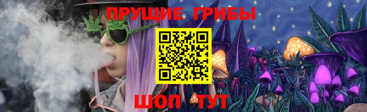 Псилоцибиновые грибы Psilocybine cubensis Славянск-на-Кубани